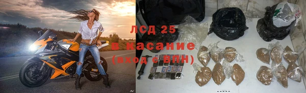 гидра Алексин