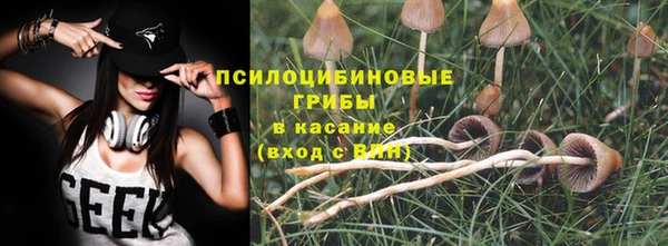 гидра Алексин