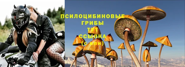 дмт Алексеевка