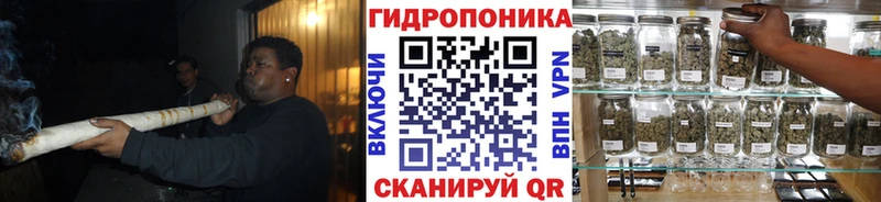 где найти наркотики Серов Бошки Шишки White Widow